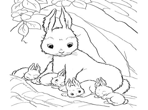 Eggs egg coloring page free printable easter bunny colouring pages. Cute Bunny Coloring Pages To Print - Coloring Home