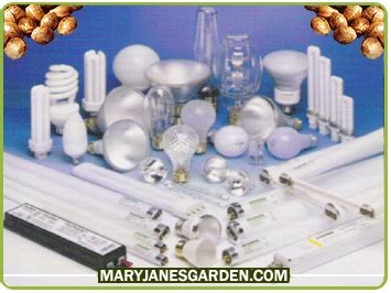 Check spelling or type a new query. Fluorescent Lights (CFL) For Growing Marijuana | Mary Jane ...