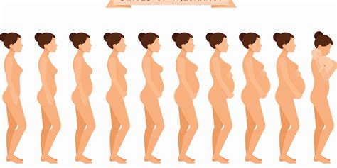 Jeder schwangere bauch ist anders und die frage „wann sieht man den babybauch? kann nie pauschal beantwortet werden. Schwangerschafts-Abc: Was sind die wichtigsten Begriffe ...