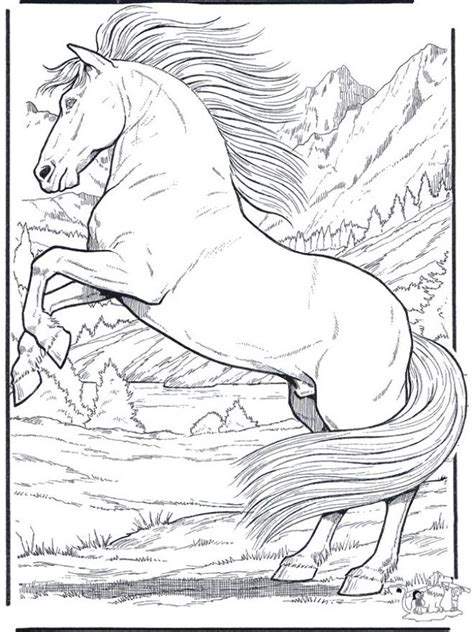 You might also be interested in coloring pages from horses category and 11 year olds, 5th grade tags. Animal Coloring Pages: 10+ handpicked ideas to discover in ...