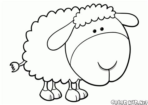Uccello fenicottero disegno da colorare gratis disegni da. Disegni da colorare - Pecora giocattolo
