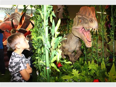 Cradlestone mall will offer two levels of retail, with a proposed 230 shops and restaurants. Cradlestone's 'dino-mite' exhibition thrills young and old ...