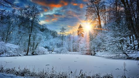 Download this premium vector about snowy winter landscape wallpaper, and discover more than 13 million professional graphic resources on freepik. Sunbeams Landscape Snow In Winter Trees 4K HD Nature ...