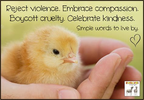 Watch the video to find out! Live cruelty free. | Baby chicks, Healthy chicks, Playful ...