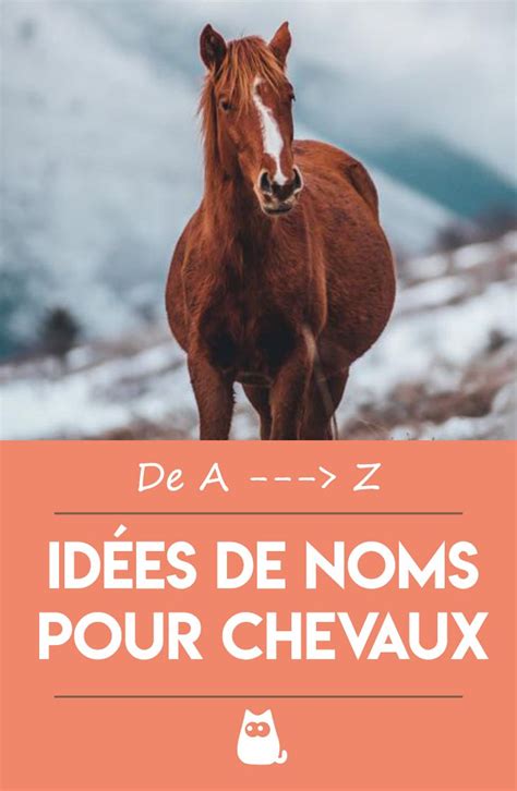 +200 NOMS pour CHEVAUX MÂLES et FEMELLES ! | Cheval, Nom pour chat ...