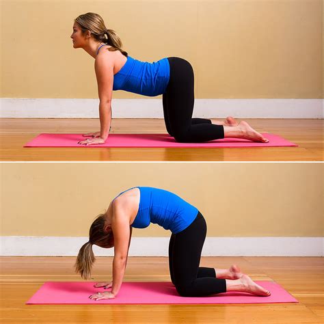 This pose sequence, often called cat and cow, helps to strengthen and maintain flexibility in the lower back and abdomen. Cat-Cow Pose | Relieve Hard-to-Reach Upper-Back Tension ...