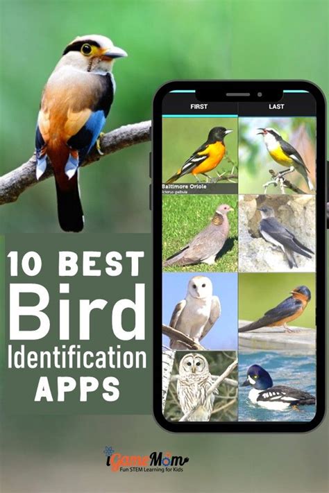 It is still going to take lots of practice. 10 Apps Websites for Bird Identification