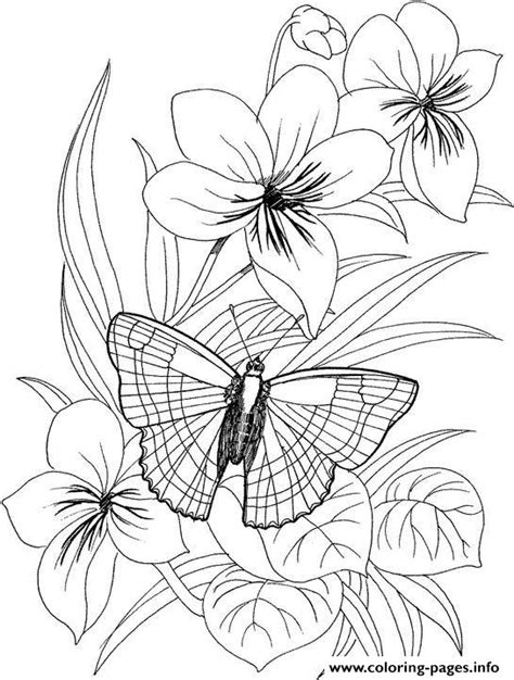 Miracle monarch butterfly coloring page free printable pages 7971. Butterfly Flower Coloring Pages Printable