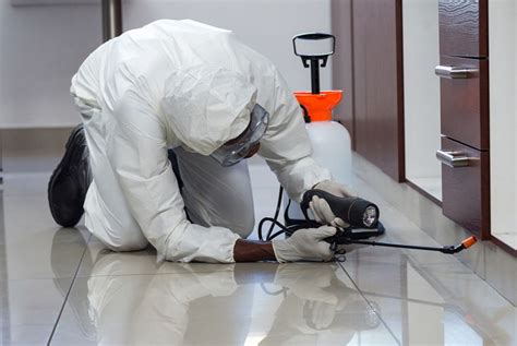 At total pest control, we have years of experience in pest control and extermination industry across the surrey and lower mainland. Things You Should Know About Pest Prevention and Extermination
