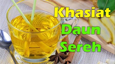 Worldwide ( all countries ) free delivery : Khasiat Daun Serai / Sereh - YouTube