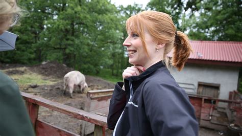 Annie lööf är tillbaka på jobbet efter att ha varit föräldraledig. Är jag oduglig enligt Annie Lööf?! - Solrosuppropet.se