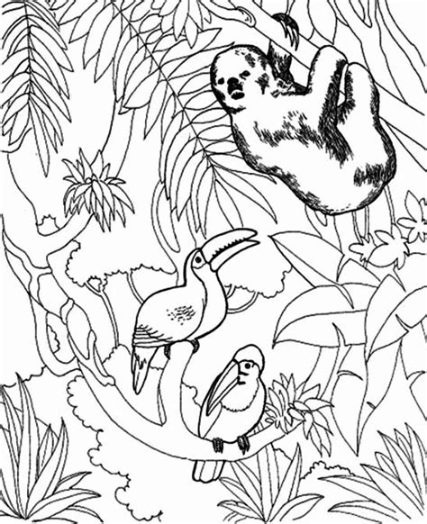 Hello people , our most recent coloringpicture which your kids canhave a great time with is three toed sloth hanging on tree branch coloring page, posted under slothcategory.this coloring picture height & width is around 600 pixel x 800 pixel with approximate file size for around 59.22 kilobytes. Three Toed Sloth Coloring Pages at GetDrawings | Free download