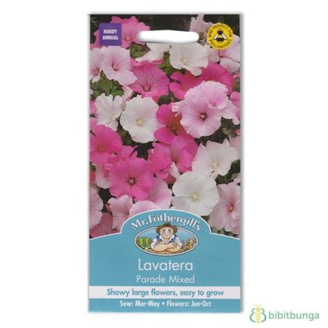 Kumpulan gambar sketsa bunga indah dan mudah cara menggambar dari bunga sakura, mawar, melati, tulip, anggrek, matahari, teratai sketsa sederhana dan lain. Jual Benih Lavatera Parade Mixed 75 Biji - Mr Fothergills ...