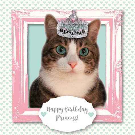 Bekijk meer ideeën over verjaardag katten, verjaardag, verjaardagswensen. Verjaardagskaart kat prinses meisje | Kaartje2go
