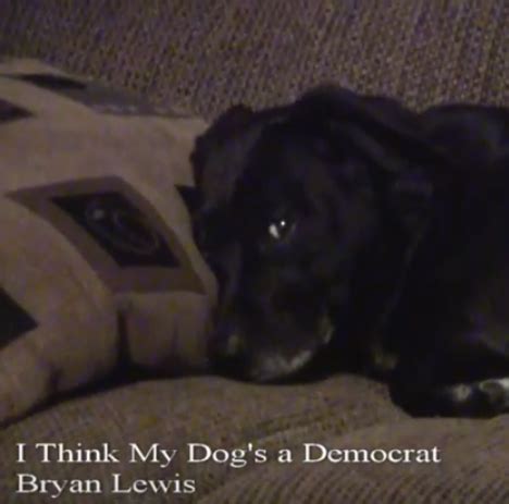 Jul 05, 2016 · well, i think my dog's a democrat and it breaks my heart to have to say an ugly thing like that. The Rachel Maddow Show - Music Charts Magazine