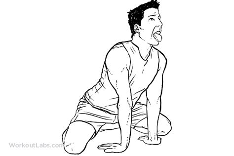 From bound angle pose (also called butterfly pose) the practitioner grasps and lifts the feet to balance on the sitz bones. Thread by @SudhaRamenIFS: Do you know what inspired the Yogis to come up with many asanas? It ...