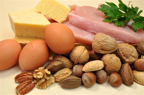 Białka - najważniejsze składniki odżywcze - echoLegnica