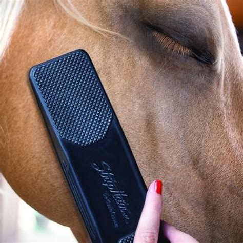 Heated Horse | Betty's Best - Strip Hair Gentle Horse Groomer
