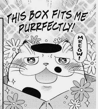 The pet shop owner lowers the price for fukumaru, but none of the customers select him. Book Review: A Man and His Cat, Vol. 1 - Enid Public Library
