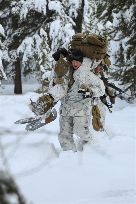 We did not find results for: Warlords 'fight' in winter environment > 2nd Marine ...