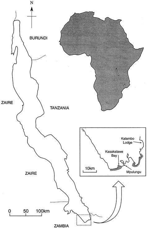 It is estimated to be the second largest freshwater lake in the world by volume, and the second deepest, in both cases, after only lake baikal in siberia; Jungle Maps: Map Of Africa Lake Tanganyika