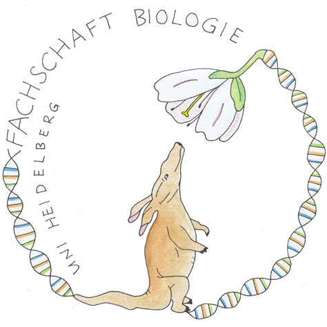 Biologie, chemie und mathematik gehören zu ihren stärken. Tipps zur Bachelorarbeit - Fachschaft Biologie