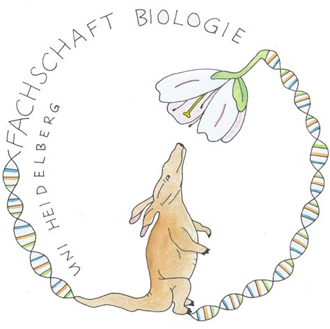 Den studiengang biologie an der staatlichen uni wien studierst du in der regel 6 semester. Tipps zur Bachelorarbeit - Fachschaft Biologie