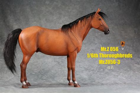 Go too the stable and look at the thoroughbreds its should be there Thoroughbred Horse (Chestnut) | 1:6 Scale Diorama Animals ...