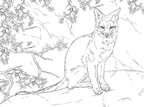 2) click on the coloring page image in the bottom half of the screen to make that frame active. Printable Sitting Gray Fox coloring page for both aldults ...