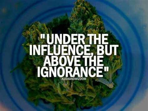 Top 10 420 memes & weed quotes. Happy 420♥♥ | Under the influence, Happy 420, Kushandwizdom