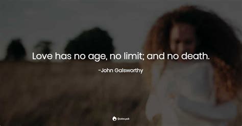 Amazing websites under $2k in as little as 5 days. Love has no age, no limit; and no de... - John Galsworthy - Quotes.Pub