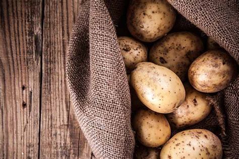 Store healthy potatoes in a dark, dry place. How To Harvest Homegrown Potatoes | Gardener's Path