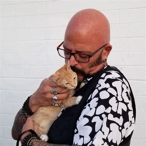 But how did they get the dog shadow to act like it had a injured leg or for the cat to try and remove i recently met duwayne dunham, director of homeward bound. Cats For Adoption | Homeward Bound Cat Adoptions | Las Vegas