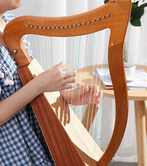 19 String harp Beginner Wood String Instrument Niche | Etsy