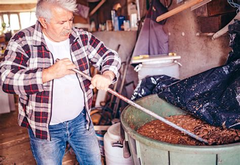 How to make a fruit mash for moonshine learn. Mixing The Fruit Mash For Moonshine Home Brandy Stock ...