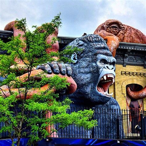 Hours may change under current circumstances Check out this shot by @dvrvtour of the gorilla on top of ...