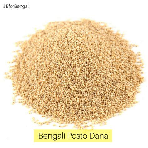 Scientifically research industrial agrarian enterprise poppy of ukraine was founded to research, cultivate and distribute blue poppy seeds in ukraine and. Wholesale Price | Bengali Diamond Posto Dana (Poppy Seeds ...