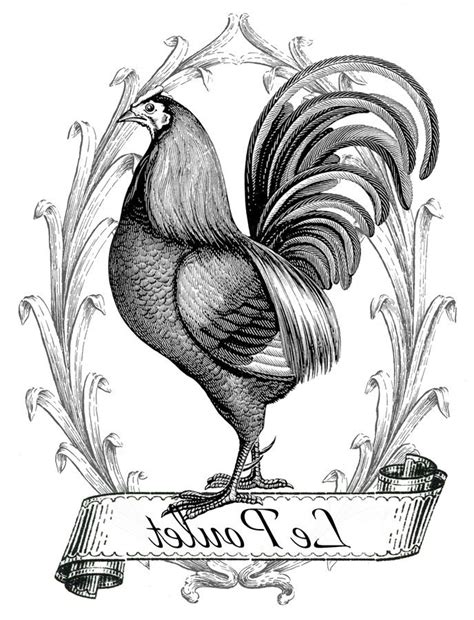 Choose language | alege limba: Printable Image Transfer - French Chicken - The Graphics ...