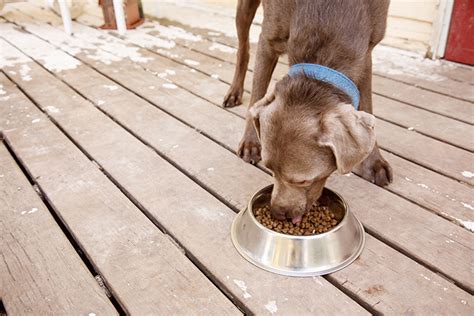 You can get the best discount of up to 56% off. Pet Food Storage | Nutrena
