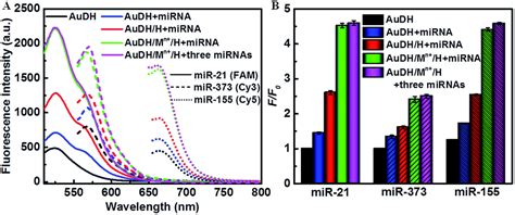 Afterwards, a mini independent analysis system combining dna amplification and lateral flow strip was proposed to the portable lamp detector, consisting of a temperature controller, fluorescent detector, and an iot microprocessor was the fluorescence detector was controlled using the. Multiplex microRNA imaging in living cells using DNA ...