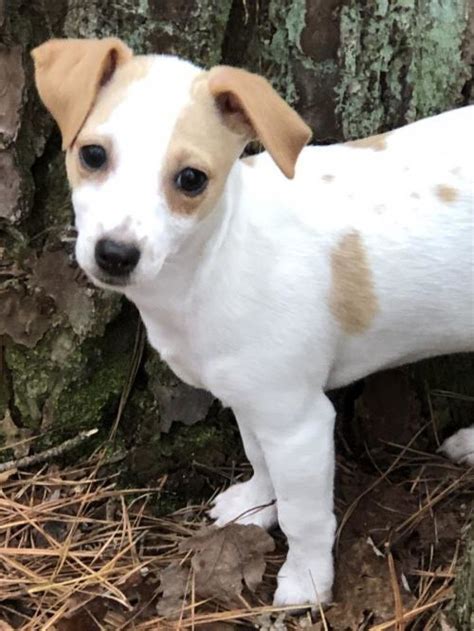 Check spelling or type a new query. Pin on baby's