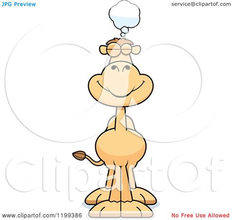 There are only three species of camels, the dromedary camels, bactrian camels, and wild bactrian camels. Cartoon of a Dreaming Camel - Royalty Free Vector Clipart ...