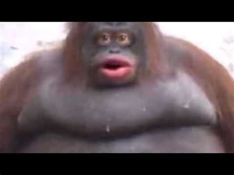 Pronunciation of poo poo poo with 2 audio pronunciations. Stinky Poopoo - YouTube