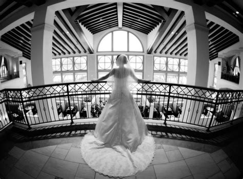 Al museo del sesso di new york da pochi giorni si può ammirare questa scultura realizzata da daniel edwards. Rosen Shingle Creek Wedding Gallery | Rosen Weddings