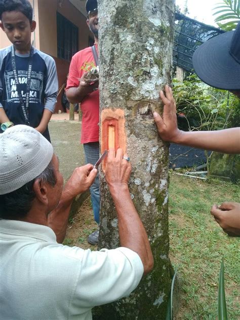 Bilik gerakan, tingkat 1, pejabat daerah gombak. Pejabat Pertanian Daerah Gombak/Petaling: 2017