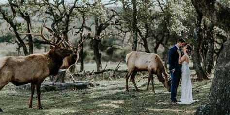 The inn at country cottages has a rustic elegance; The Lodge at Country Inn & Cottages | Venue, Fredericksburg