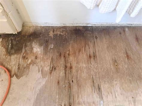 Vinyl floor tiles are similar in most ways to their cousin, sheet vinyl, in the sense that they have the same waterproofing the subfloor is important to a vinyl installation, because without this protective. How To Replace Subfloor In A Bathroom - Carpet Bathroom ...