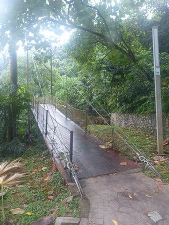 Check spelling or type a new query. Bukit Kiara Park (Kuala Lumpur) - 2019 All You Need to ...