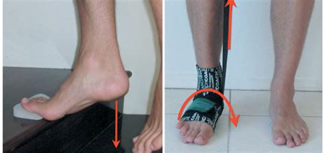 Bekijk wat werknemers zeggen over werken bij portland foot & ankle. Foot and Ankle Strengthening - PhysioTools | Lower ...