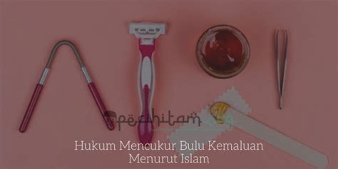 Malah, cukur bulu kemaluan atau merapikan bulu pada kemaluan lelaki juga amat digalakkan dalam islam. Hukum Mencukur Bulu Kemaluan Menurut Islam | Pecihitam.org